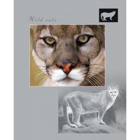 Тетрадь общая на скобе А5, 96 л., клетка, ECO "Wild Cats" (059823)