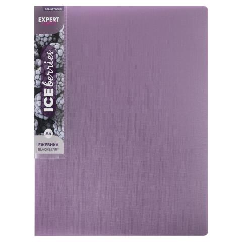 Папка файловая с 20 карманами, А4, Trend ICEberries, лён, ежевика, Expert Complete EC211520072