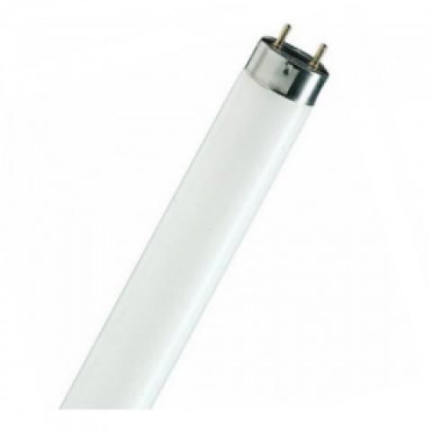 Лампа люминесцентная OSRAM Т8 L 18W/765