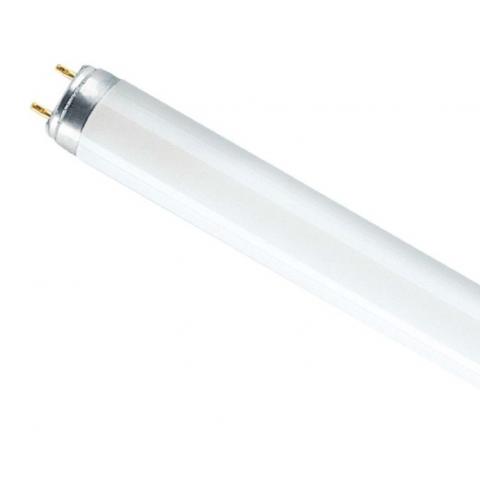 Лампа люминесцентная OSRAM Т8 L 36W/765