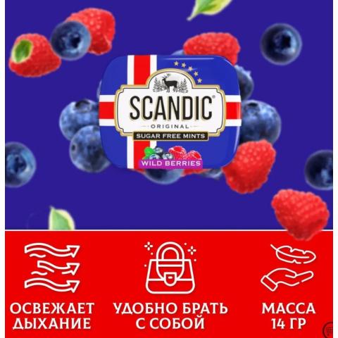 Конфеты драже без сахара Лесные ягоды, 14гр, SCANDIC