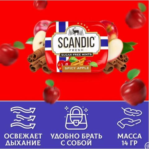 Конфеты драже без сахара Пряное яблоко, 14гр, SCANDIC
