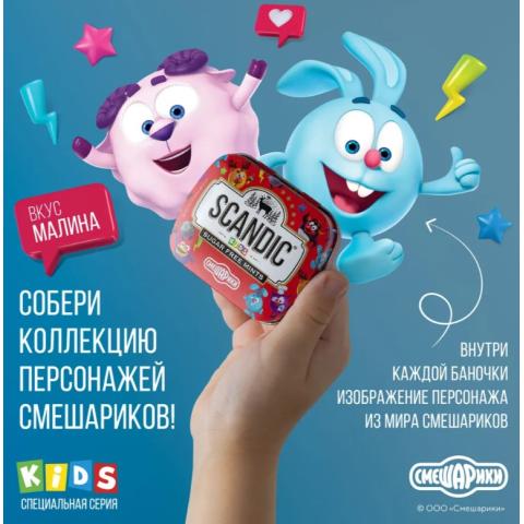 Конфеты драже без сахара Малина, коллекция Смешарики, 14гр, SCANDIC