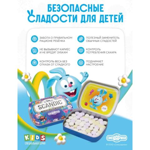 Конфеты драже без сахара Тутти-фрутти, коллекция Смешарики, 14гр, SCANDIC