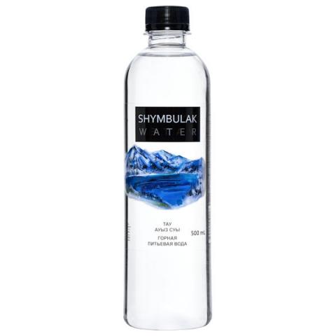 Вода питьевая горная Shymbulak Water без газа, 0,5л, пласт. бутылка