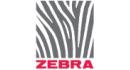 Zebra (Япония)
