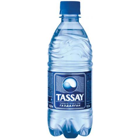 Вода минеральная TASSAY с газом, 0,5л, пластик